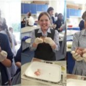 Year 6 Science - Photo 1