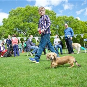 Bedales Prep, Dunhurst, host successful Dog Show - Photo 2