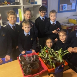 Eco Club have been busy planting! 
