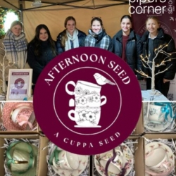 Young Enterprise Success