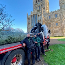 27ft Christmas tree arrives at King’s Ely’s Old Palace