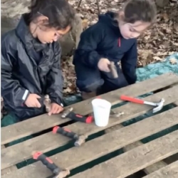 Forest School