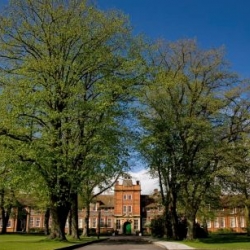 A Level Results 2025