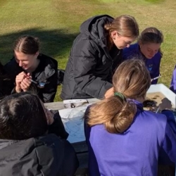 Conservation Service - BugLife