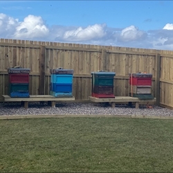 Beekeeping At Kilgraston