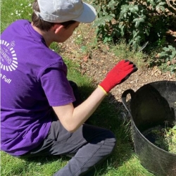 Work Experience Week