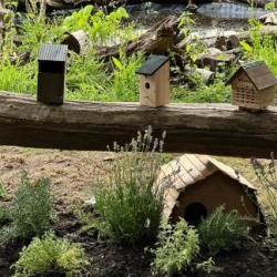 Eco-Club Enhances Sensory Garden