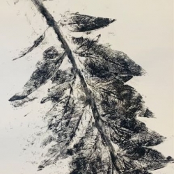 Prior&rsquo;s Court young people set for return to GENerate Art Exhibition