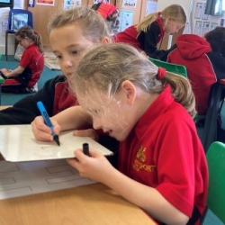 Celebrating Curiosity for British Science Week!