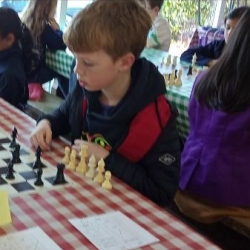 Inter Schools Team Chess