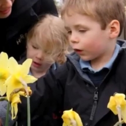 Eco-School Green Flag  Award