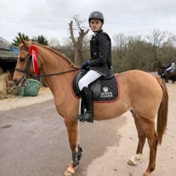 Harry Qualifies for Hickstead