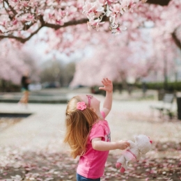 Visual Impairment And Schools: What You Need To Know