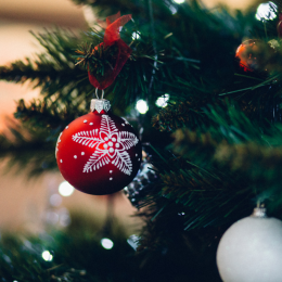 Staying Focussed Over The Christmas Break