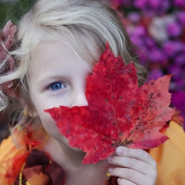 An Introduction To Multi-Sensory Learning