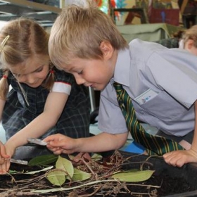 Eco Bronze Award for St Benedict's Junior School - Photo 2