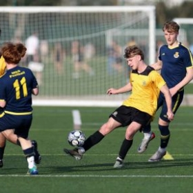 2026 ESFA Finalists - Photo 3