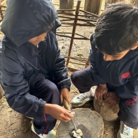 Chiltern Open Air Museum - Photo 3