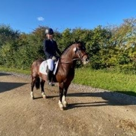 Equestrian Success at NSEA Championships - Photo 1