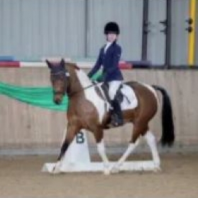 Equestrian County Cup Success - Photo 1