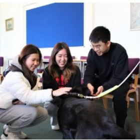 A Visit form Harmony, Our Sponsored Guide DOg - Photo 3