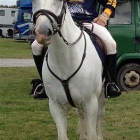 King's Bruton's equestrian qualifies for National Schools' Show Jumping Championships - Photo 1
