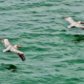 House Photography - Photo 2