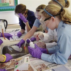 Researcher in Residence switches schoolgirls onto science - Photo 2