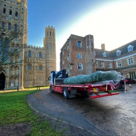 27ft Christmas tree arrives at King’s Ely’s Old Palace - Photo 2