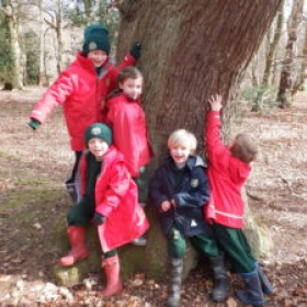 Forest Fun - Photo 2