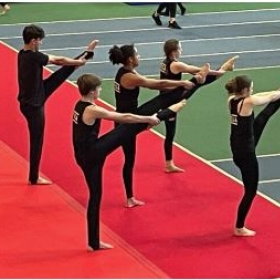 RMS Pupil Qualifies For Teamgym British Championships For Sixth Year Running - Photo 2