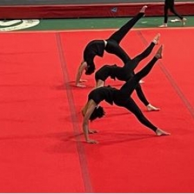 RMS Pupil Qualifies For Teamgym British Championships For Sixth Year Running - Photo 3