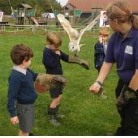 Year 1 Learn About Owls During Their Trip To Herrings Green Farm! - Photo 1