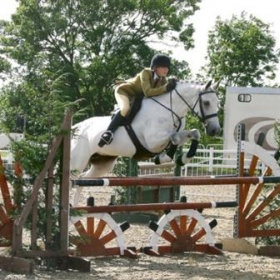 Gresham's student secures place at Horse of the Year Show 2013 - Photo 1