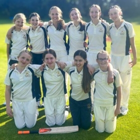 Great Week for Cricket - Photo 2