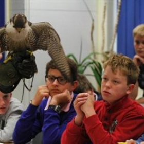 Oundle's junior scientists enjoy a spectacular indoor falconry display - Photo 3
