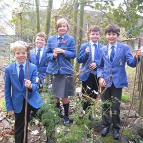 Children create a flight of beautiful willow dragonflies - Photo 2