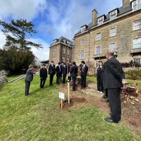 The Arrival of the Sakura Cherry Tree - Photo 1