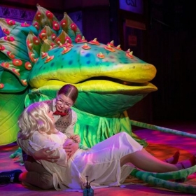 Little Shop Of Horrors Delight Audiences - Photo 2