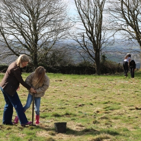 Kingswood Community Plants 420 Trees - Photo 3