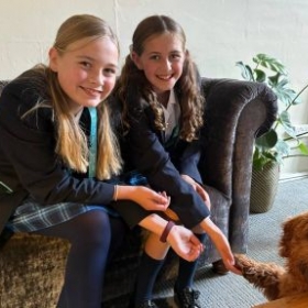 Paws for Thought … Reflections on our first week at Royal High - Photo 1