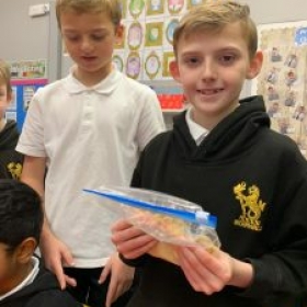 P4 Digestive Tract Experiment - Photo 2