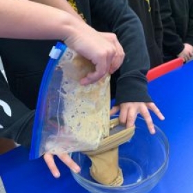 P4 Digestive Tract Experiment - Photo 3