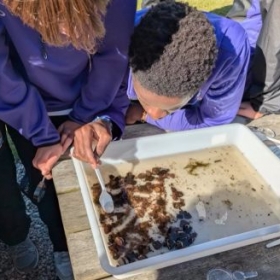 Conservation Service - BugLife - Photo 2