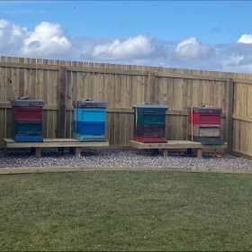 Beekeeping At Kilgraston - Photo 1