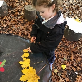 Autumnal Adventures In The Garden - Photo 1