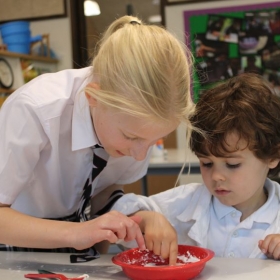 'Every Child A Scientist' Project - Photo 2