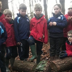 Forest School For Form 4 - Photo 1