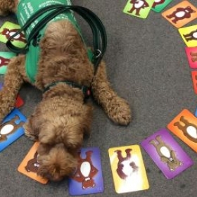 Creative Psychotherapy Update