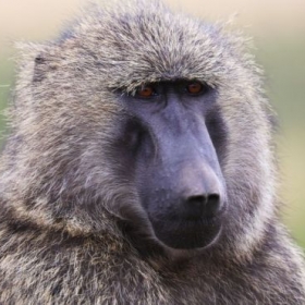 Wellington College Shortlisted for BSA Awards - Photo 3